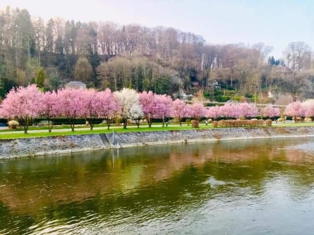 Li Stole Hotel Durbuy Bagian luar foto